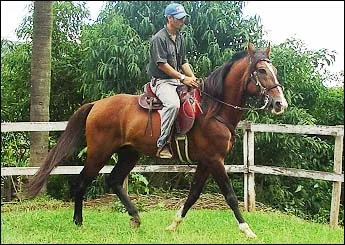 AMULETO DO LUTY