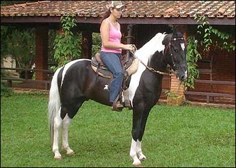 APACHE RA