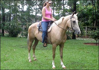 PRINCESA RA