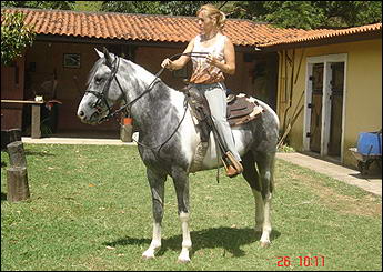 COMANCHE HE