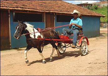 Sem nome Informado - 147
