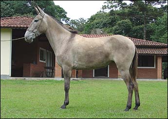 Sem nome Informado - 119