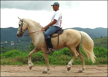 Sem nome Informado - 105