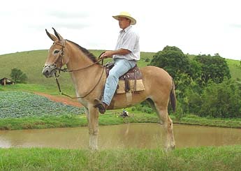 Sem nome Informado - 97
