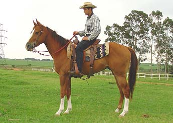 Sem nome Informado - 71