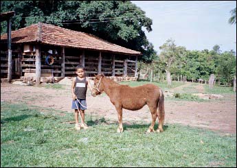 Sem nome Informado - 64