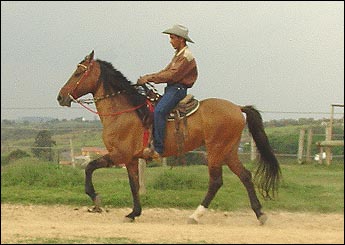 YAGO