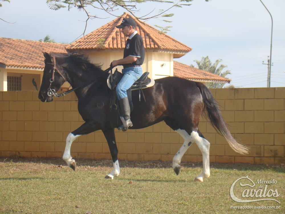 NOBREZA MNS (TE)