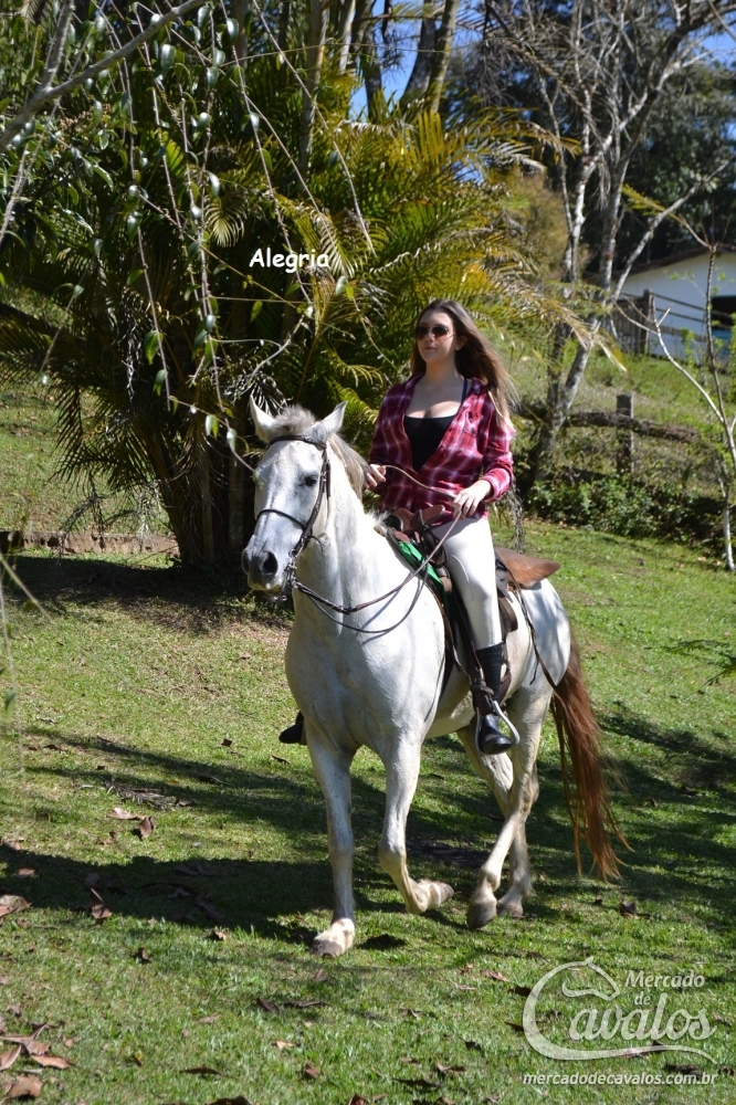 ALEGRIA