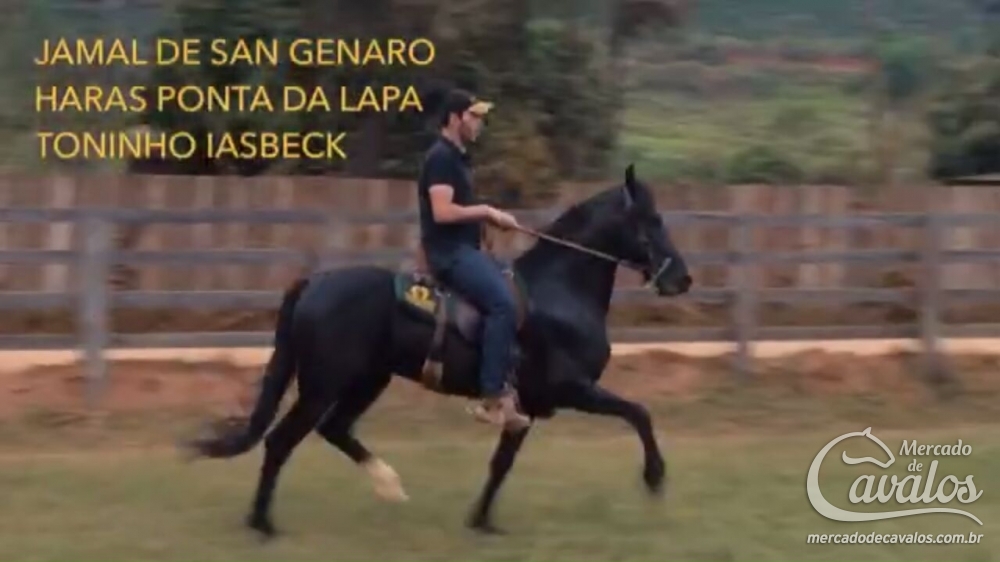 JAMAL DE SAN GENARO