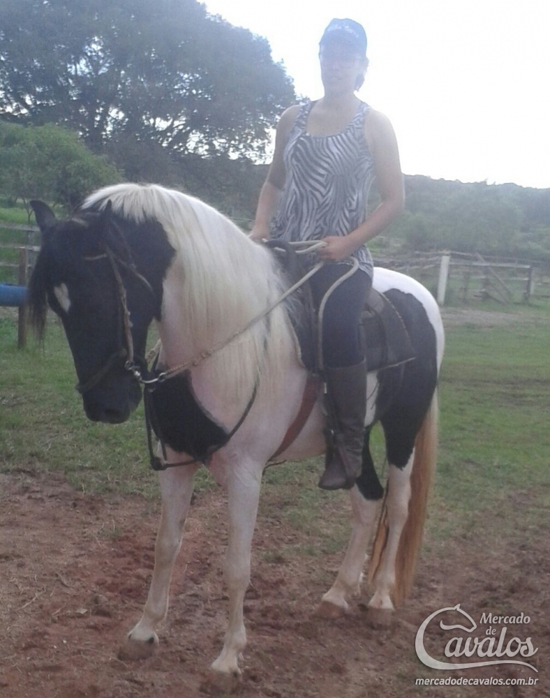 COMANCHE