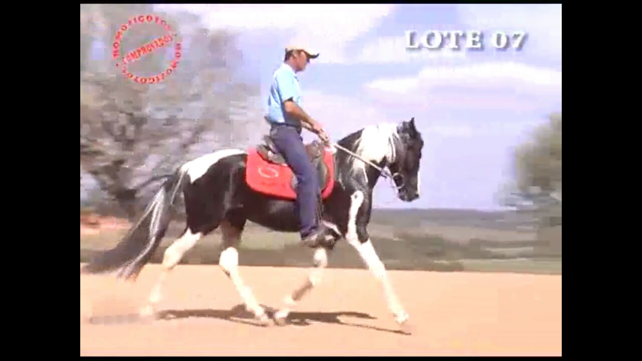 MENDURI DO MAMU