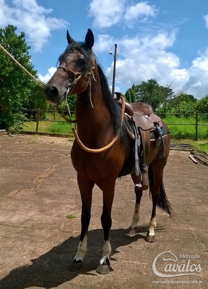 BORDADO DA IBIÚNA