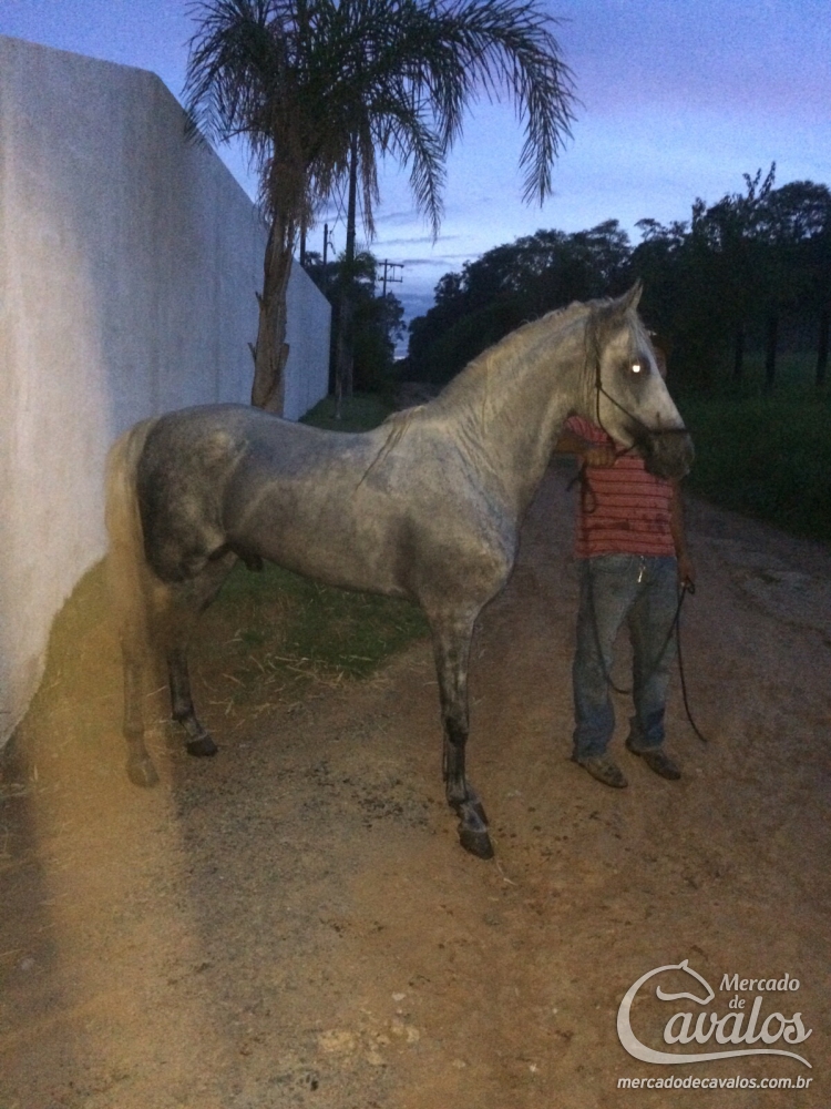 BLINDADO
