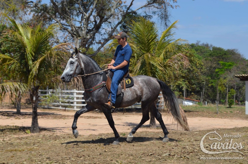 BARUQUE DO GAUCHO