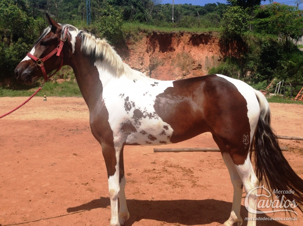 KATARINNE DO BUDIPÁ
