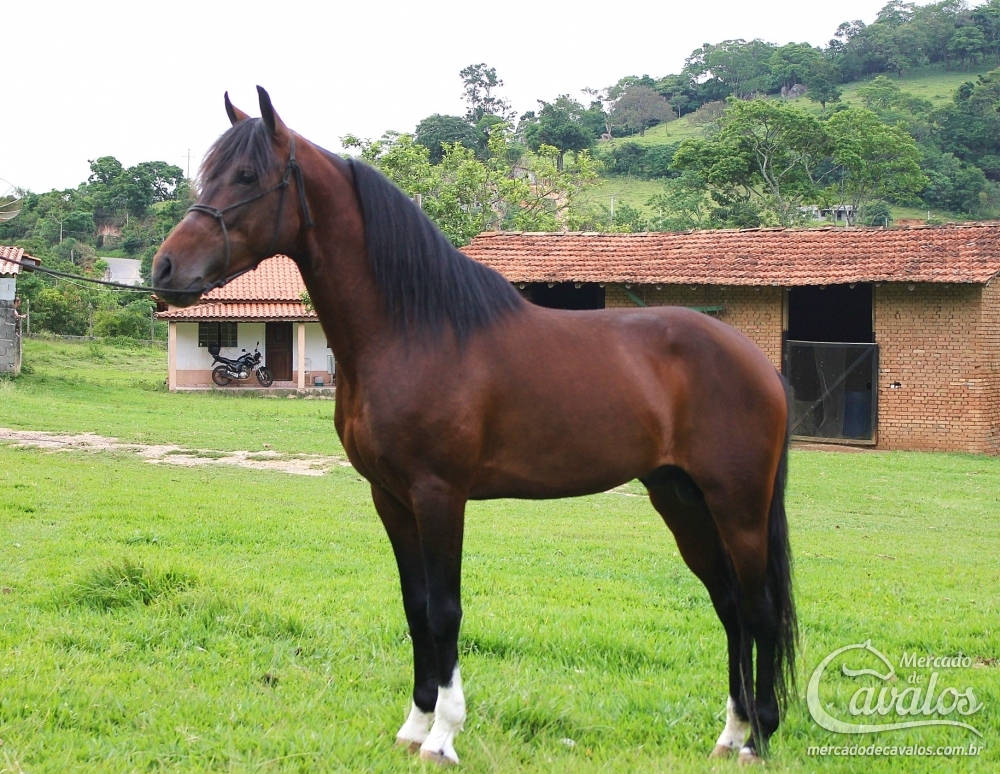 RADAR DO RASF