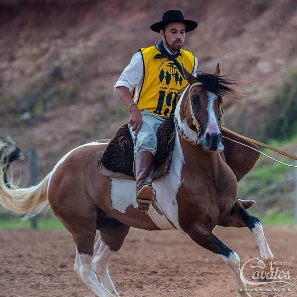 GLADIADOR JB DE PALERMO