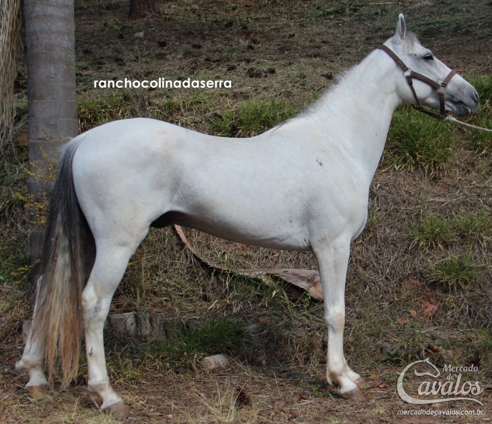 ESTANCIA ARCO IRIS BARROCO