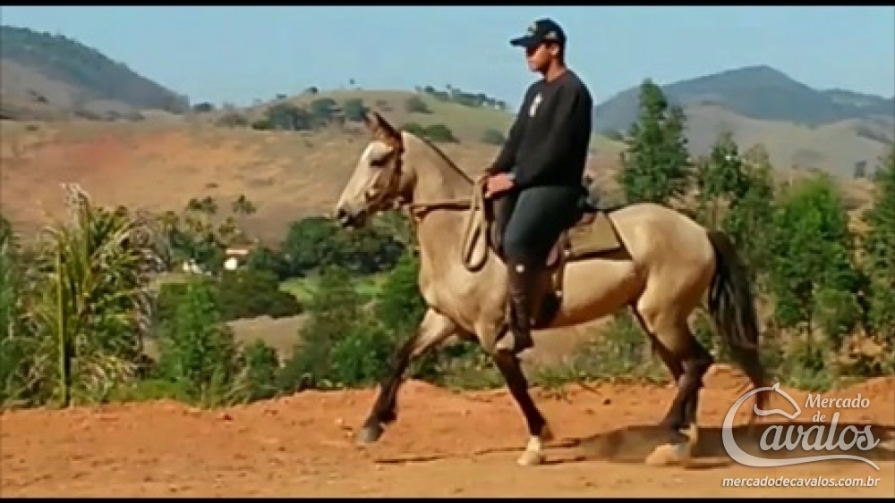 QUE BELA DO RANCHO ELDORADO MARCHA PICADA