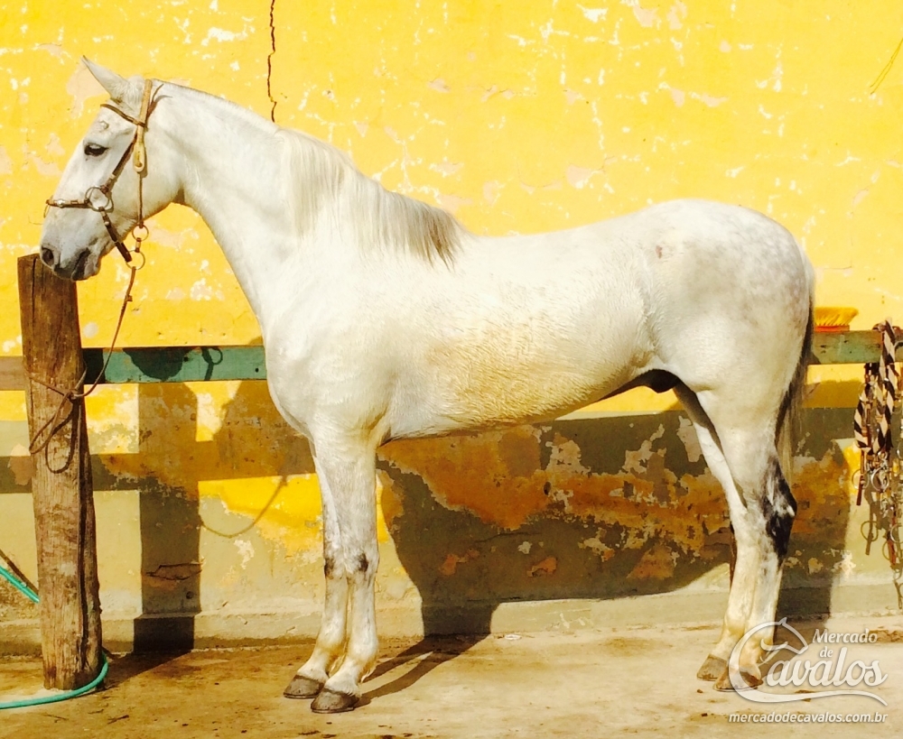 DIAMANTE