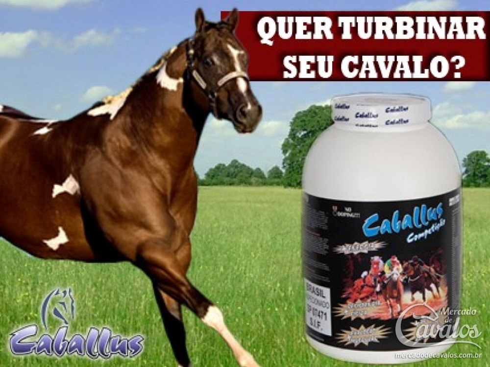 CABALLUS COMPETIÇÃO