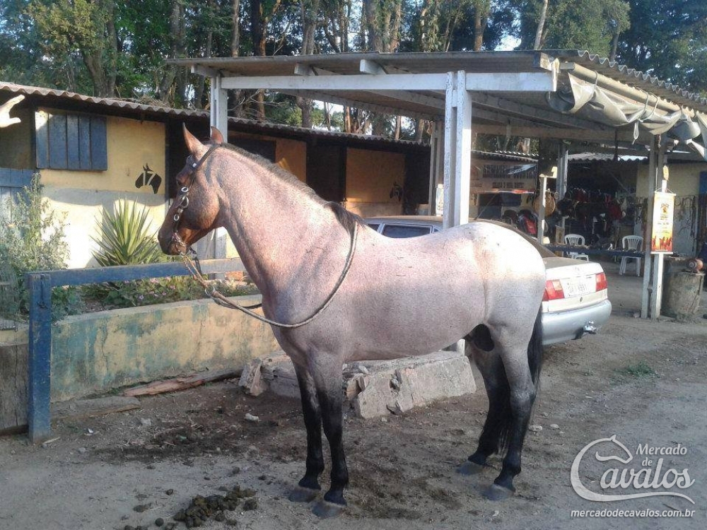 BIONIC DO LAROMANY