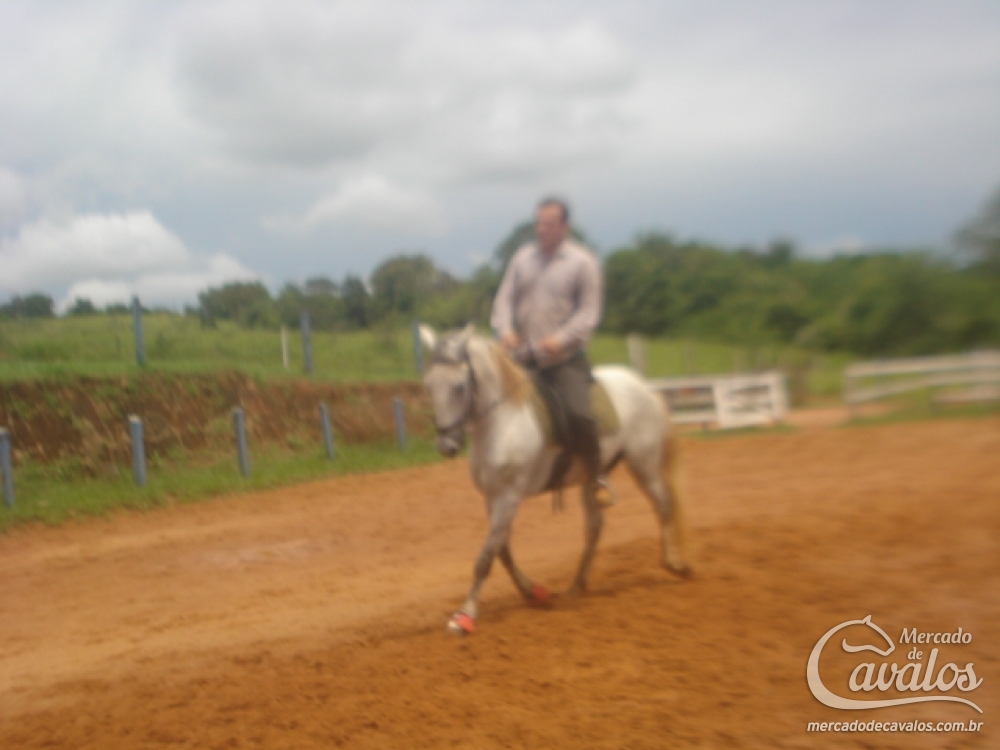 FORMOSO DO AGUILAR