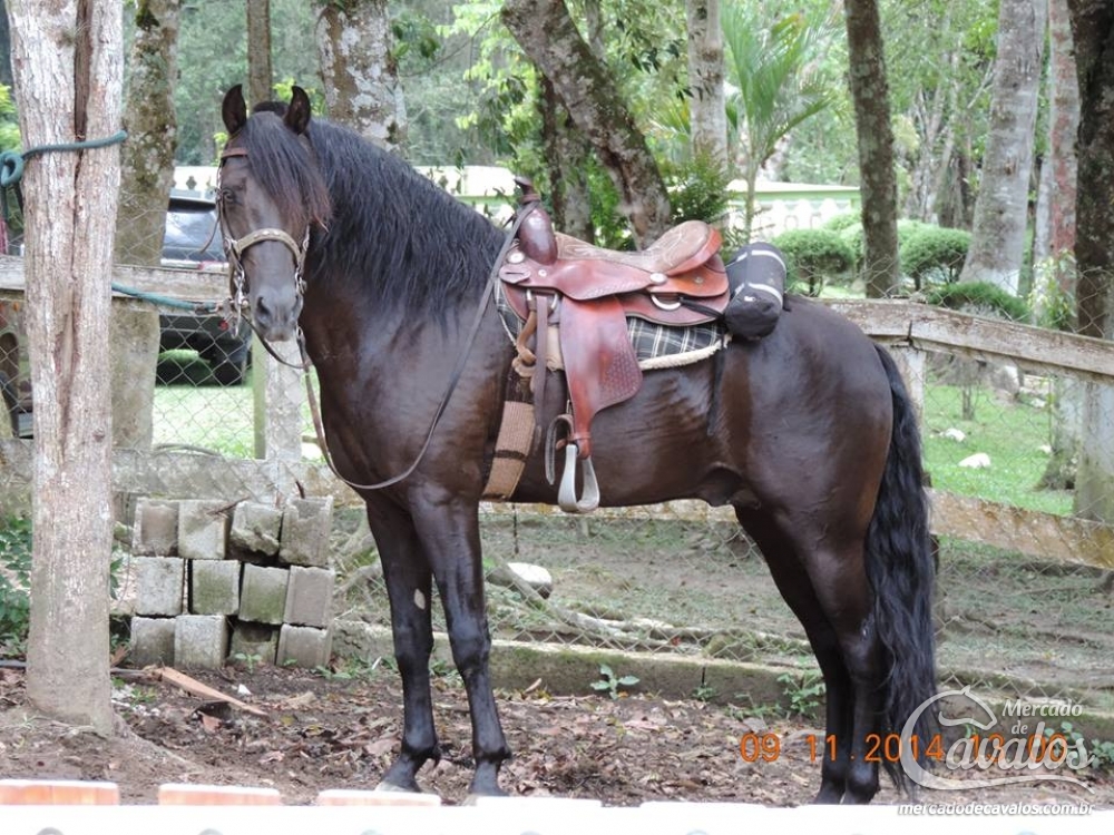 COMANCHE