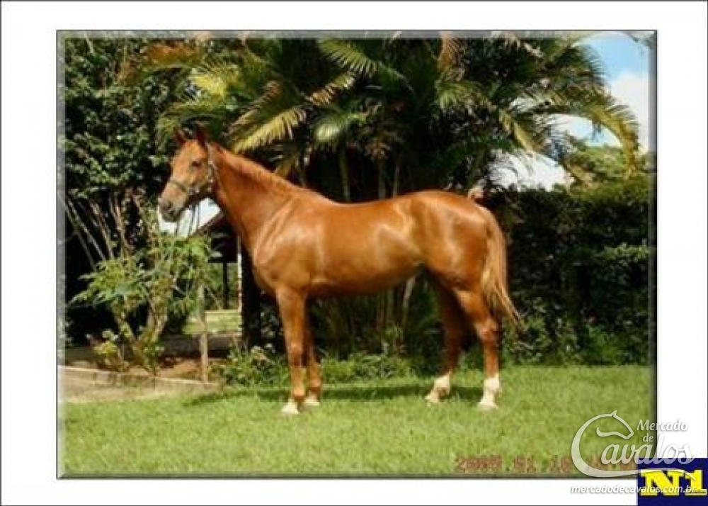 BETINA