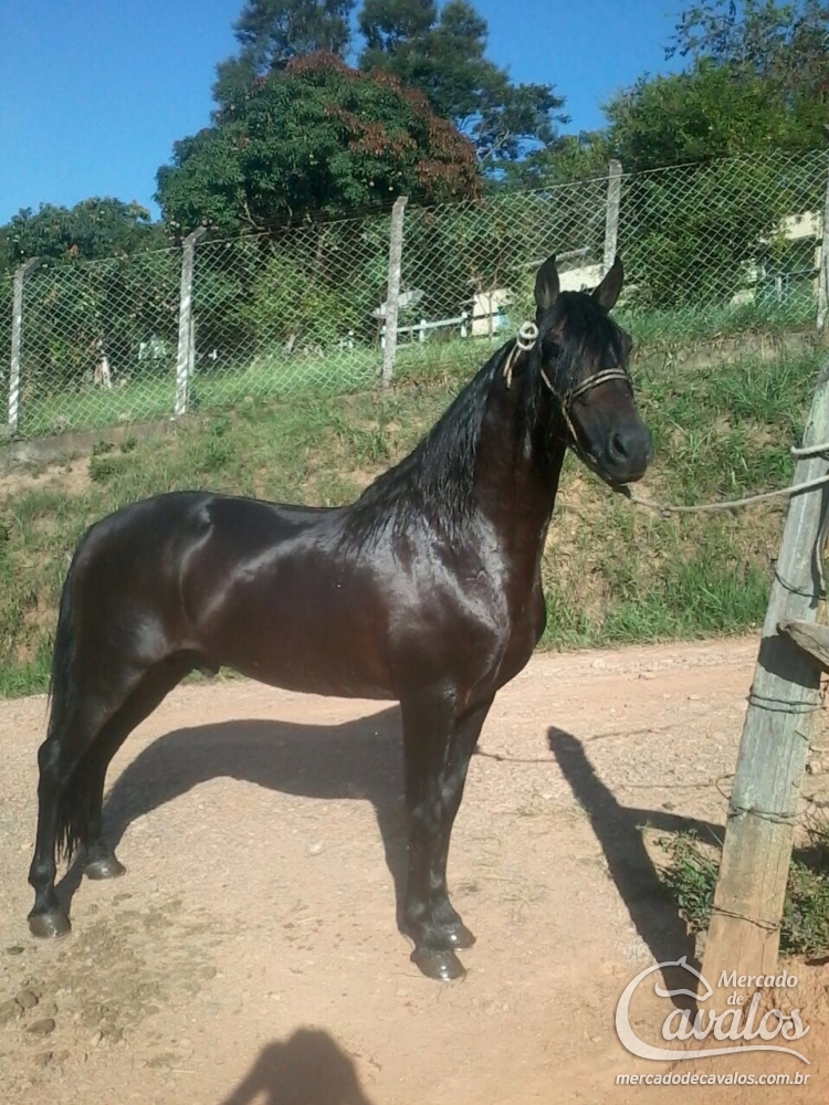 FISCAL RIO RASO