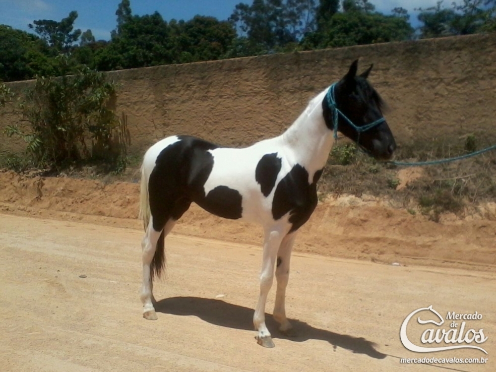 FANTOCHE DO CAPU