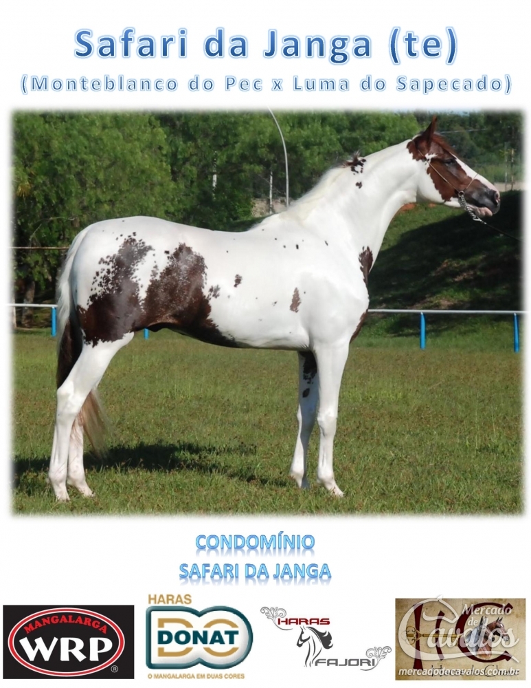 SAFARI DA JANGA (TE)