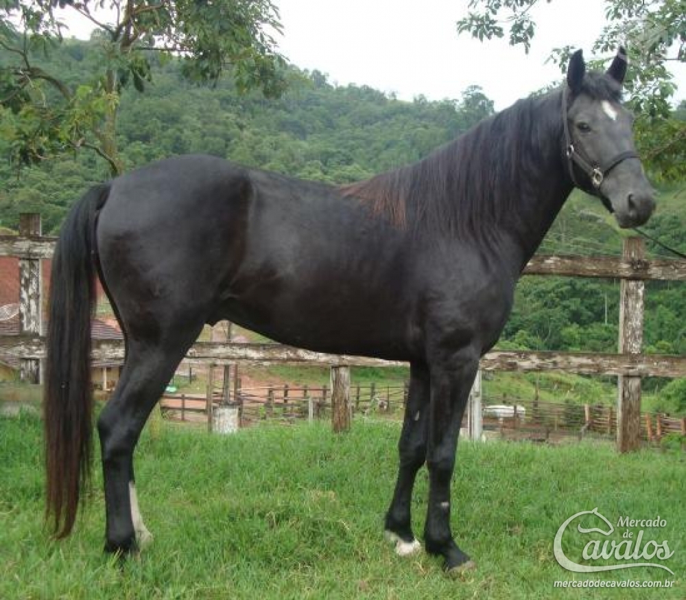 ZEUS DA HRS