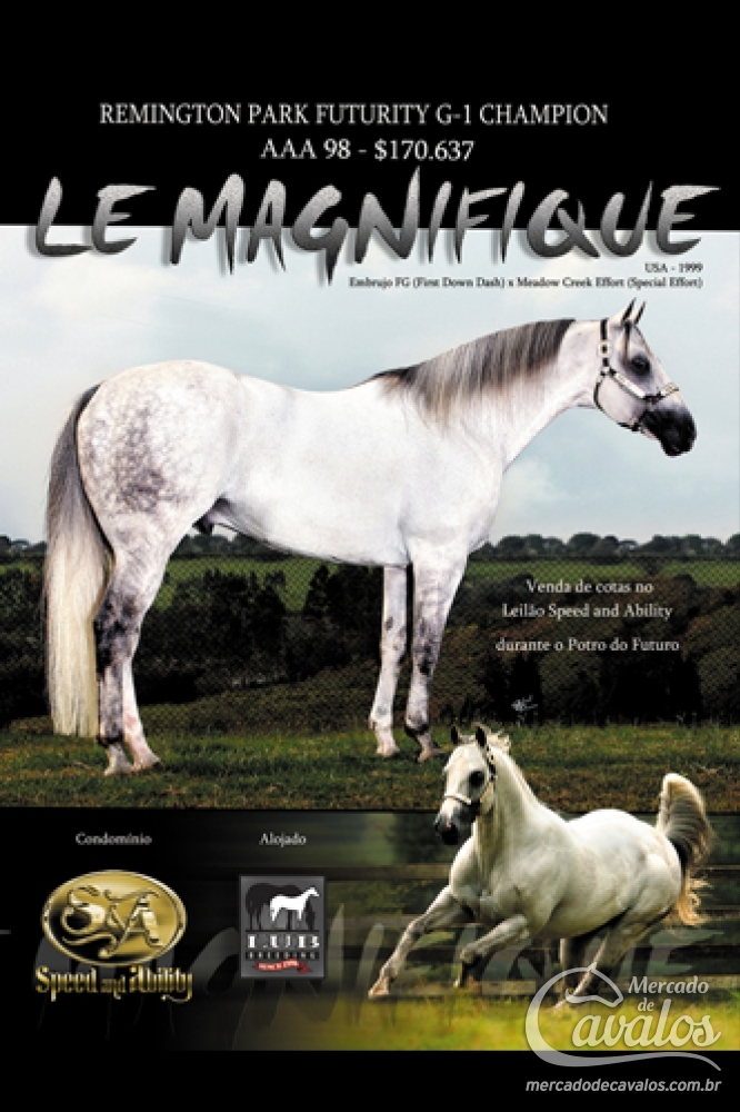LE MAGNIFIQUE FG