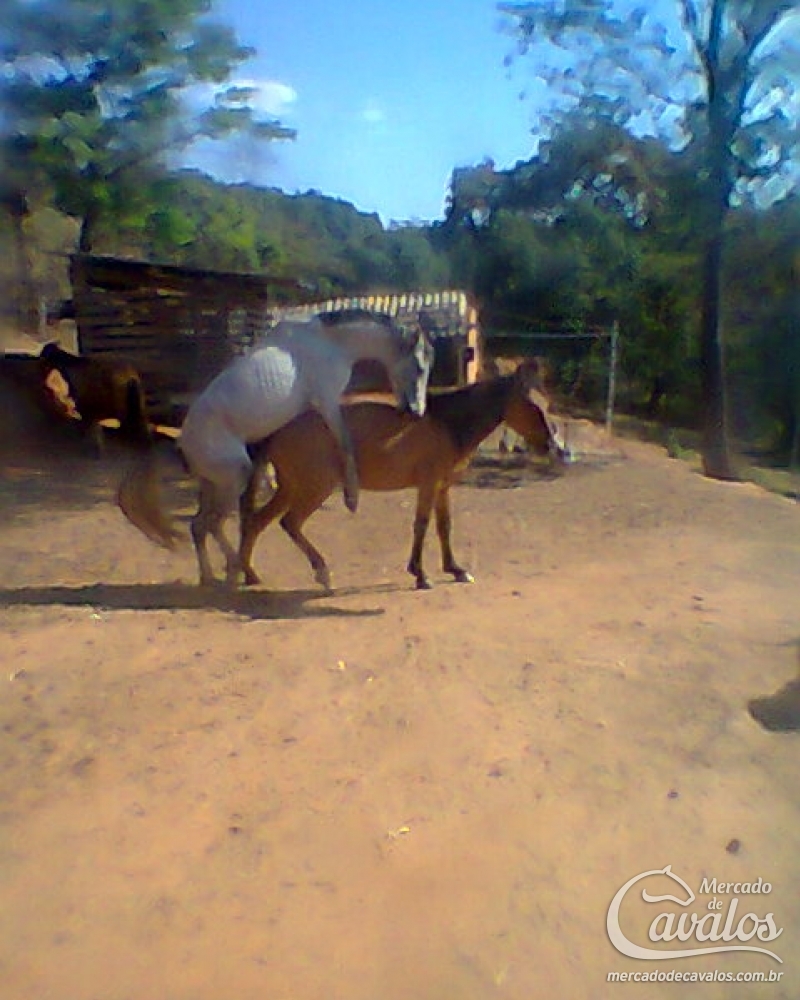 DELITO
