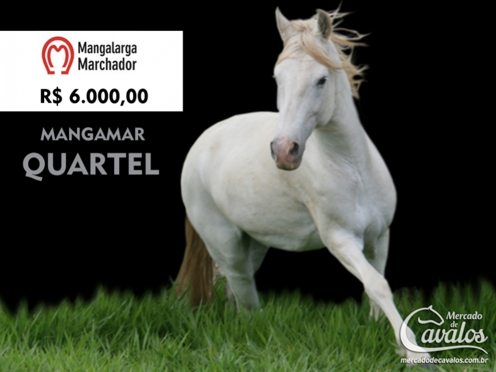 MANGAMAR QUARTEL