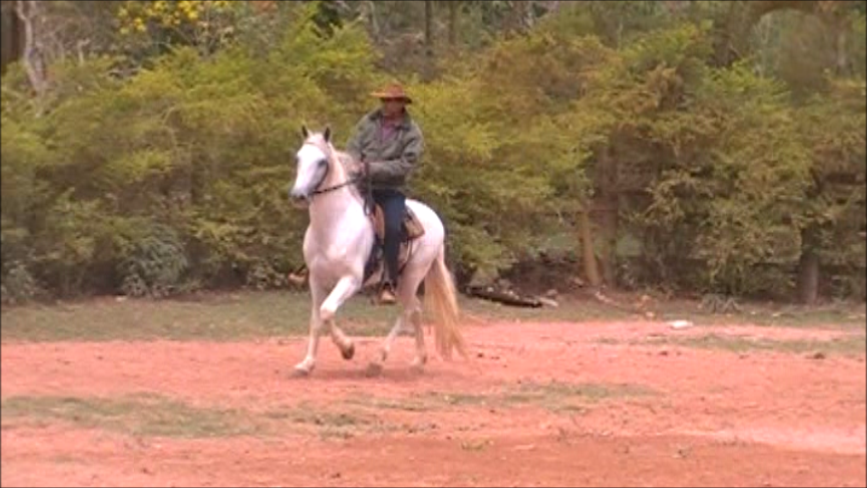 GATILHO DO RANCHO ELDORADO