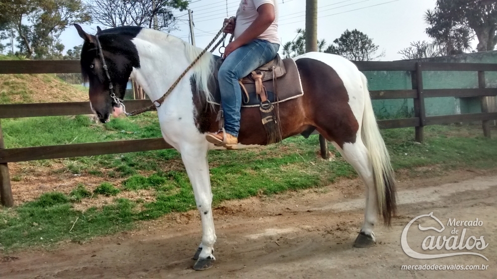 BRIUMIL DO ZANTUN