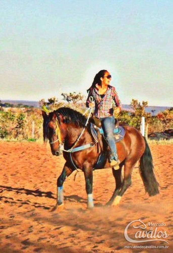 MOICANO DO INFINITO