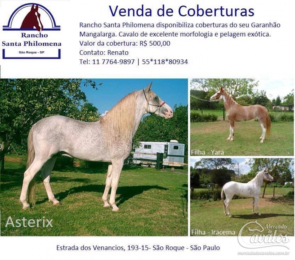 ASTERIX DO RANCHO SANTA PHILOMENA