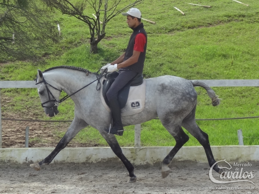 BOTAFOGO DO CASTANHEIRO