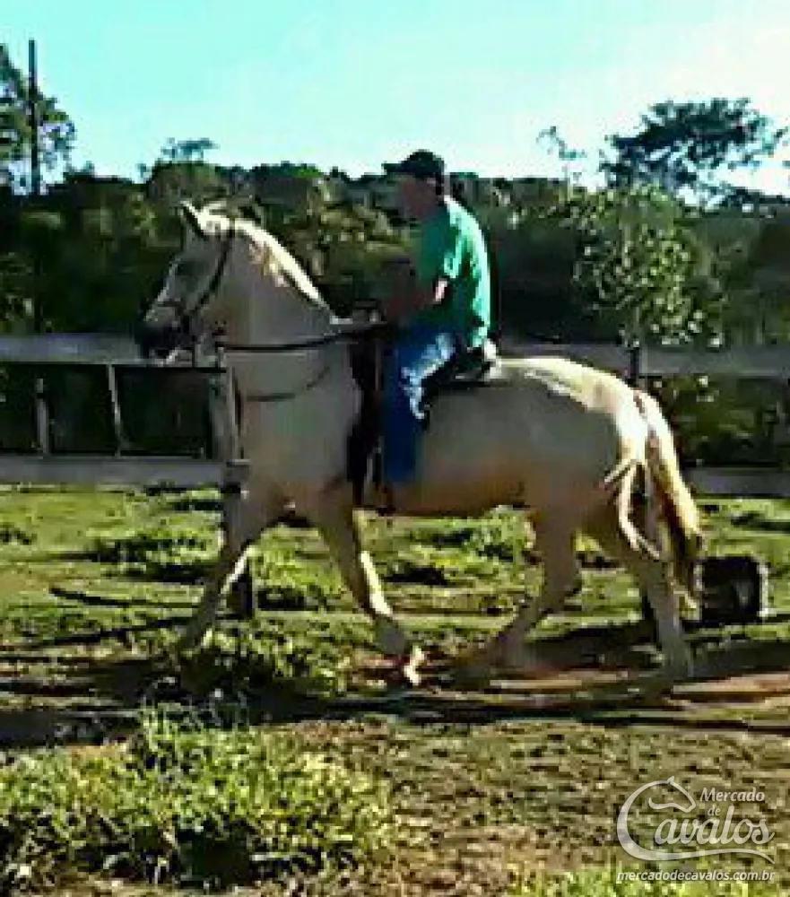 BAUXITA