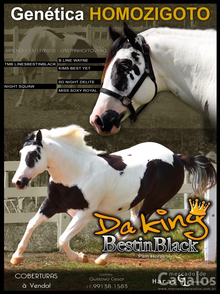 DA KING BESTINBLACK