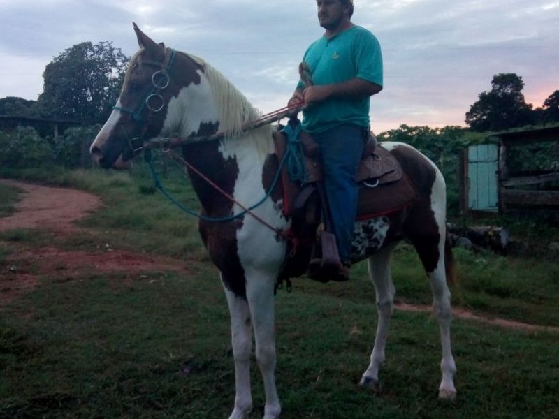 LIMPA TRILHO WRP