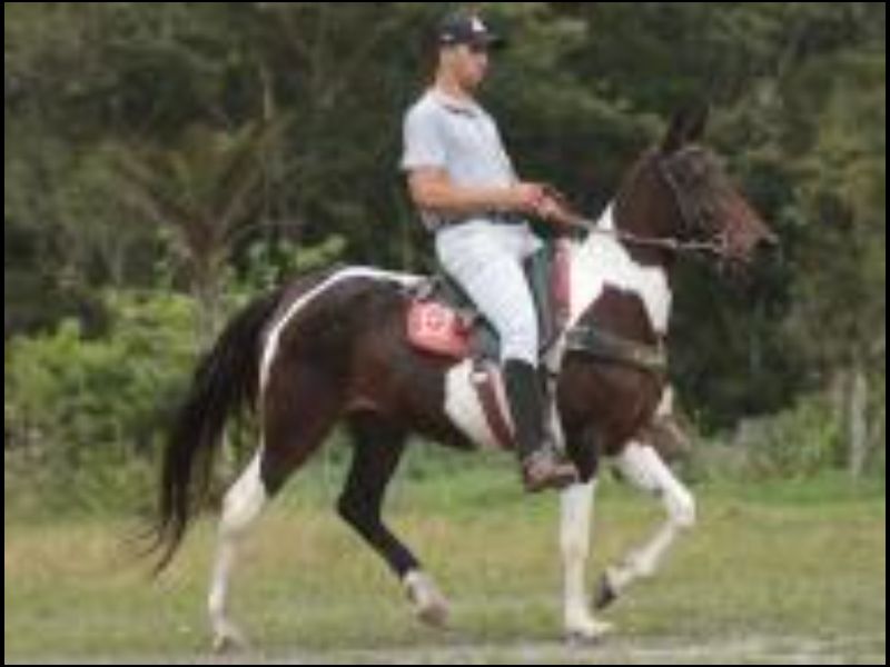 QUADRA DO DIAMANTE
