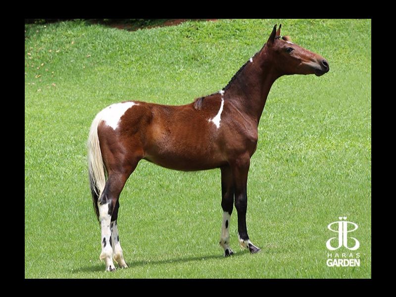 JJ LUXEMBURGO DO GARDEN