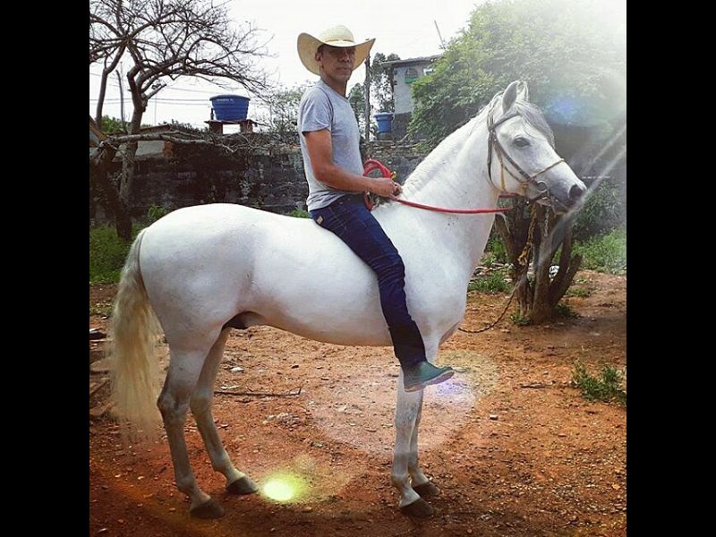 CAMAROTE O.V