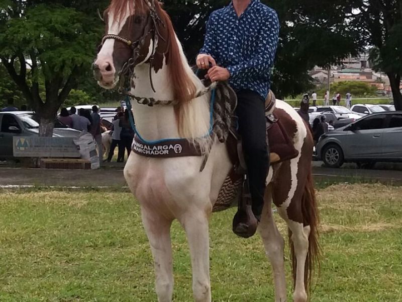 EQUADOR FTL