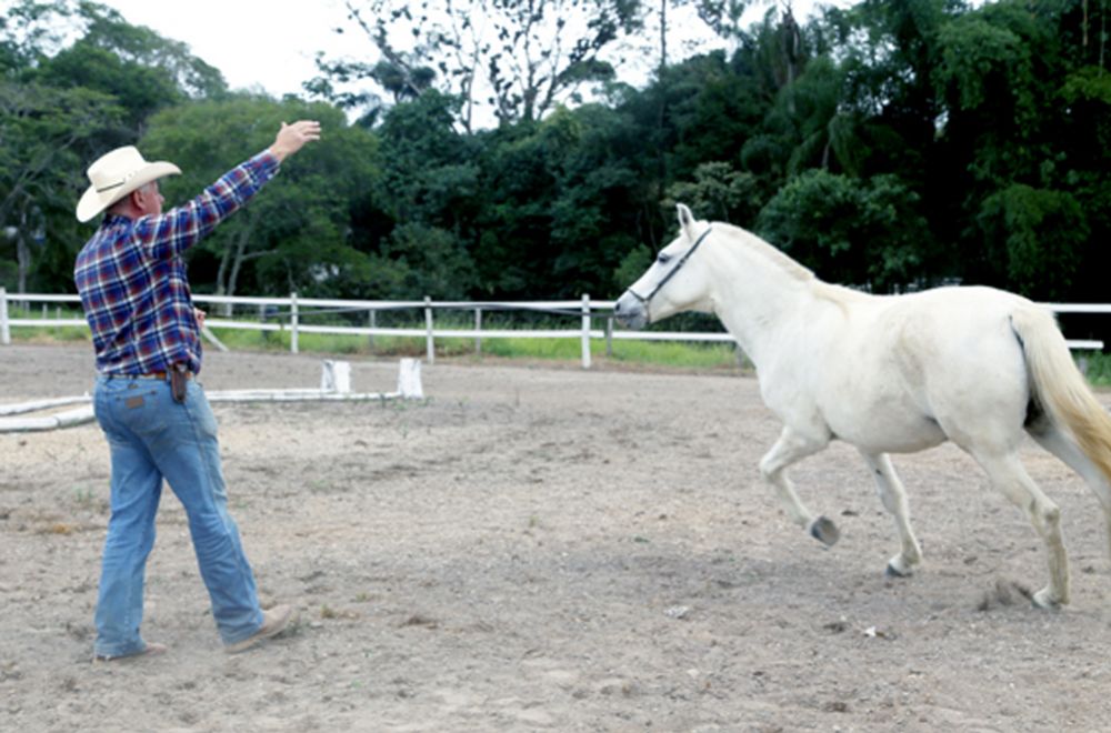 GRETA DO KAKOLÊ